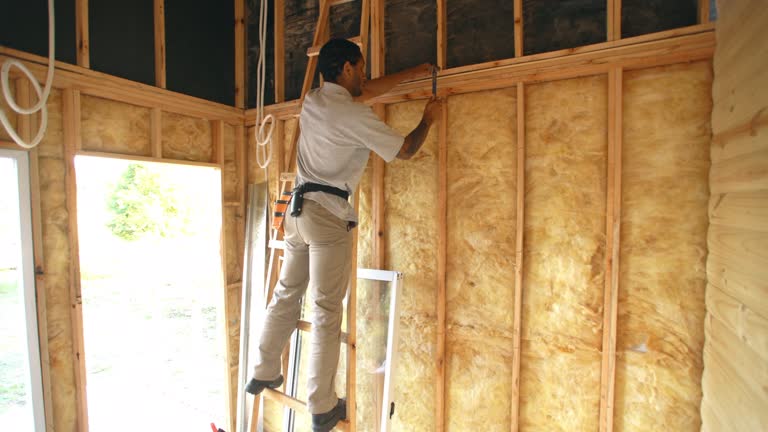 Eco-Friendly or Green Insulation Solutions in Palm City, FL